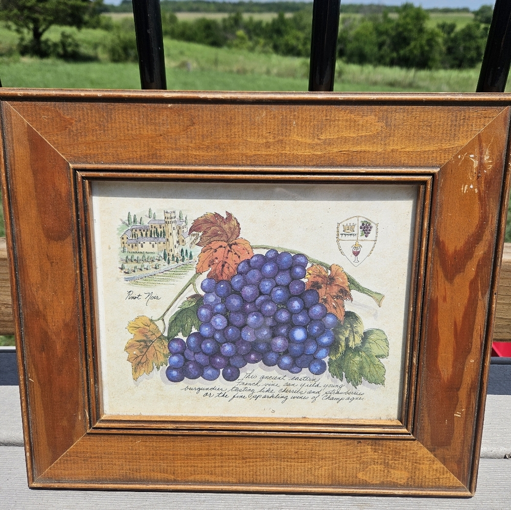 Pier 1 Wine Grapes Of The World Framed Print By Lorraine Rossi
